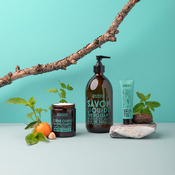sapone liquido Provence-Apothicare