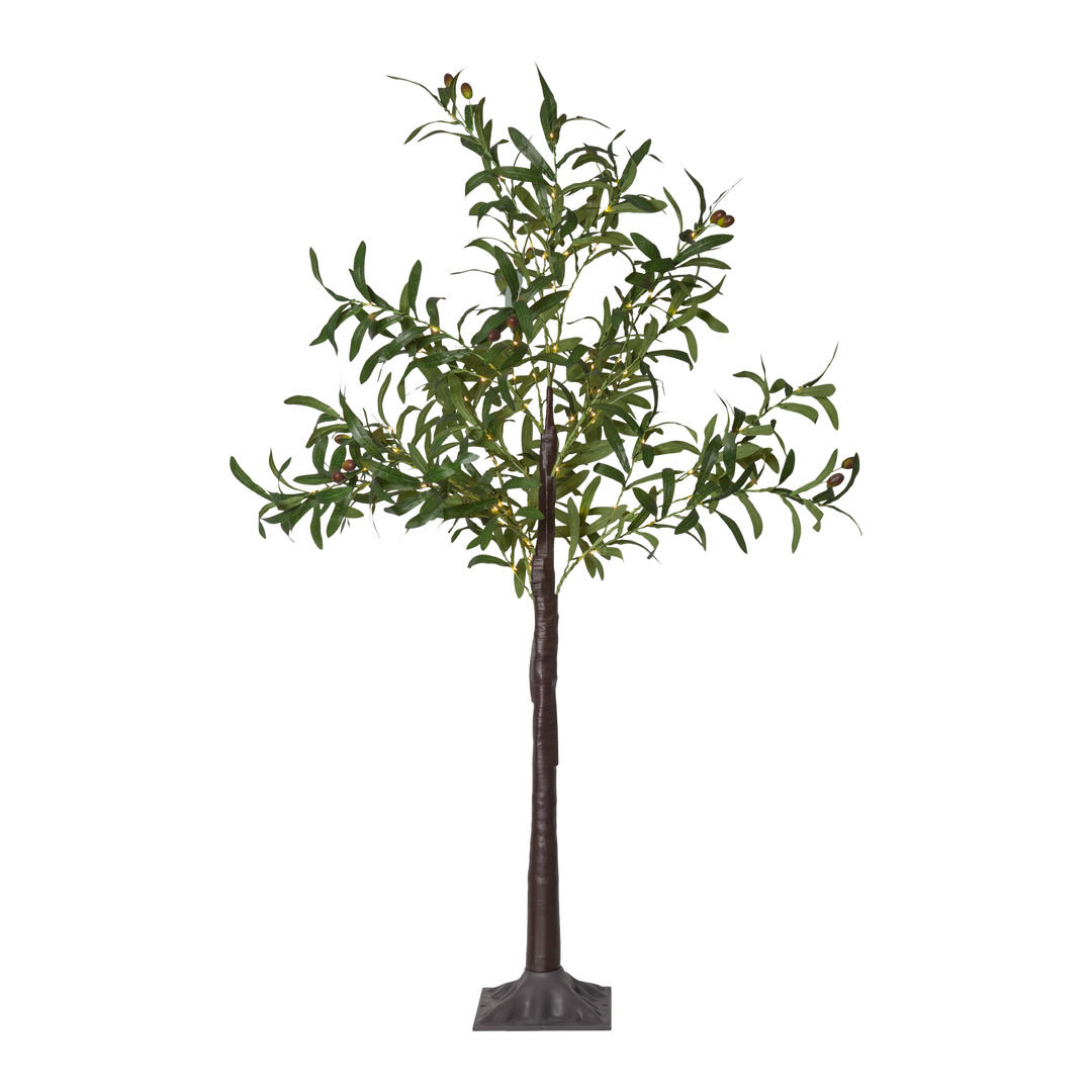 LED-Albero Olivec