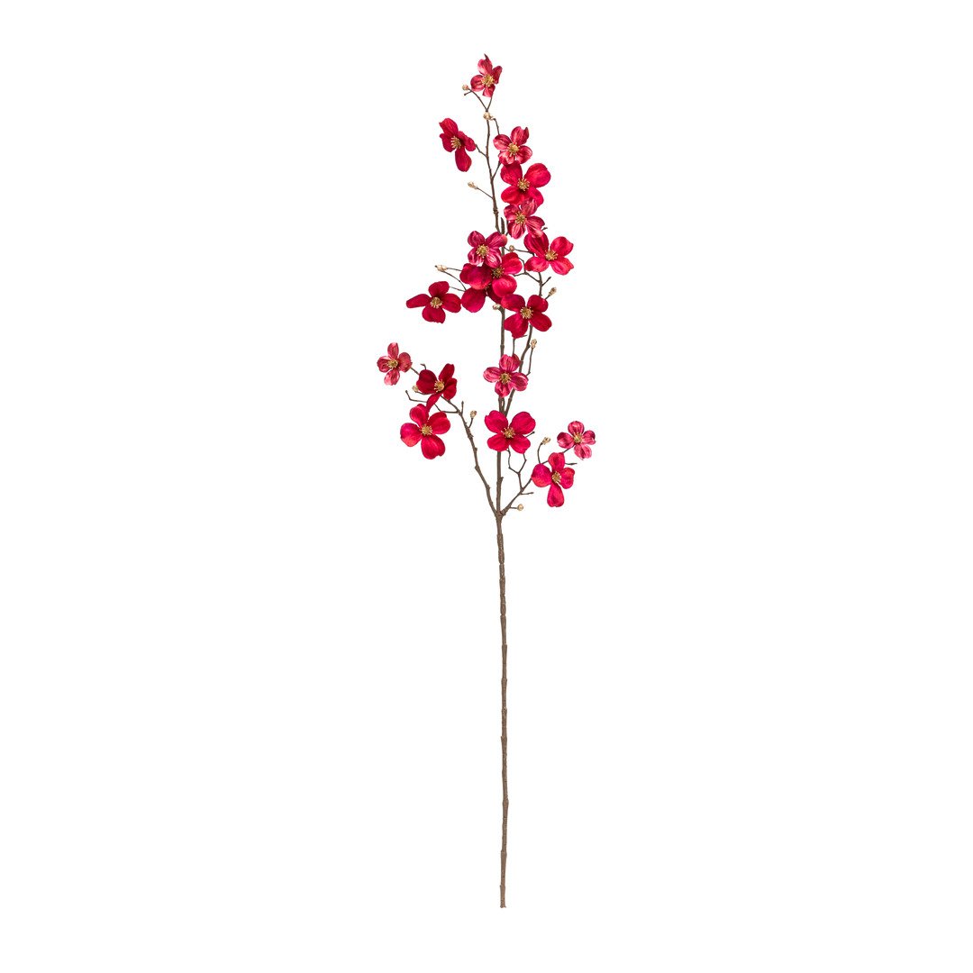 ramo decorativo Exotica