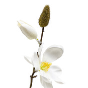 fleurs artificielles Magnolia