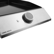 Plancha Domestic 34