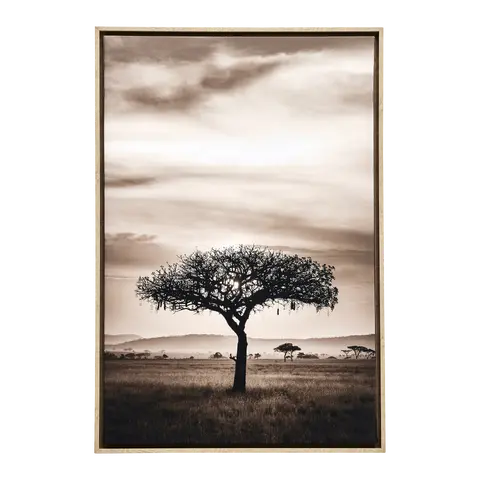 Quadro con cornice Munken