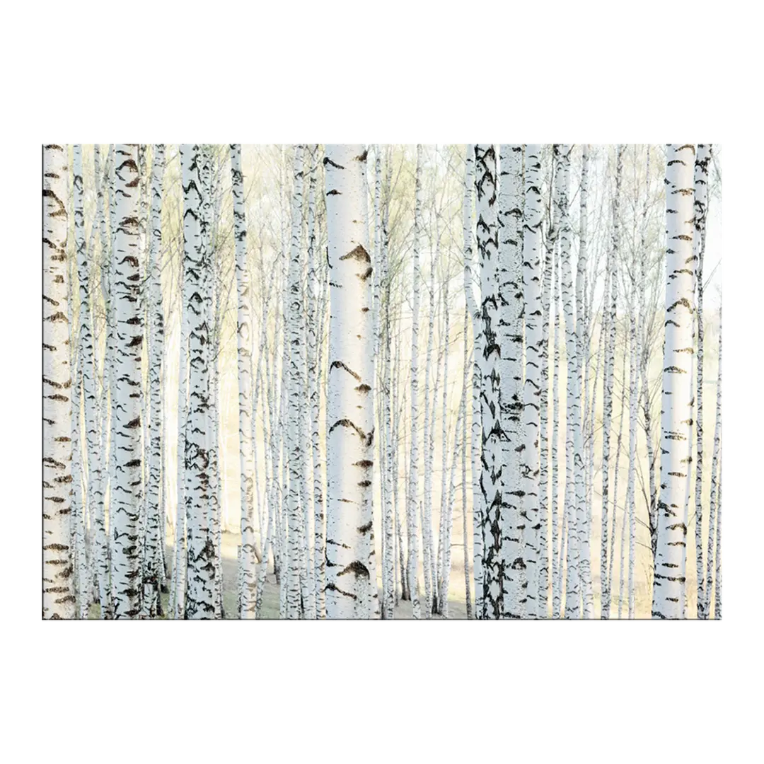 Tableau sur toile ARVEN