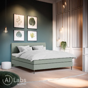 Boxspringbett Diplomat-Cont.