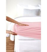 foglio fisso per boxspring Feinjersey