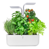 vaso per erbe Smart