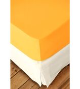 foglio fisso per boxspring Feinjersey