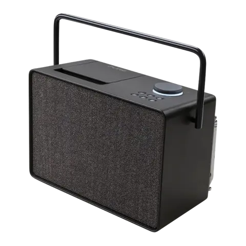 DAB Radio Pure Evoke Play