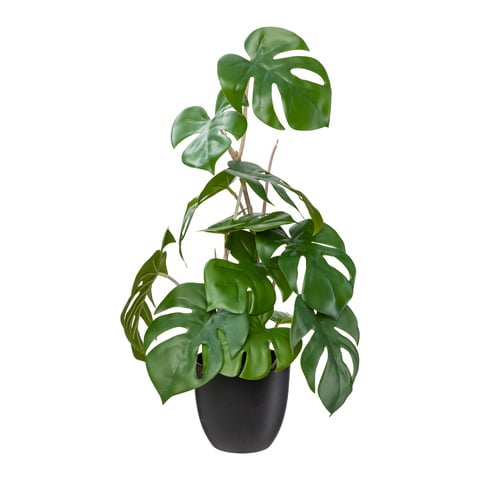 Kunstpflanze Greeny-2525
