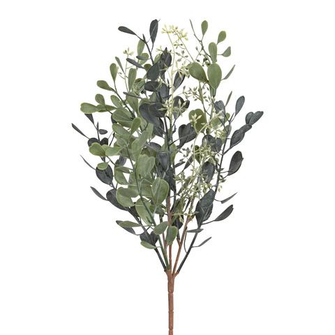 Dekozweig Sedum