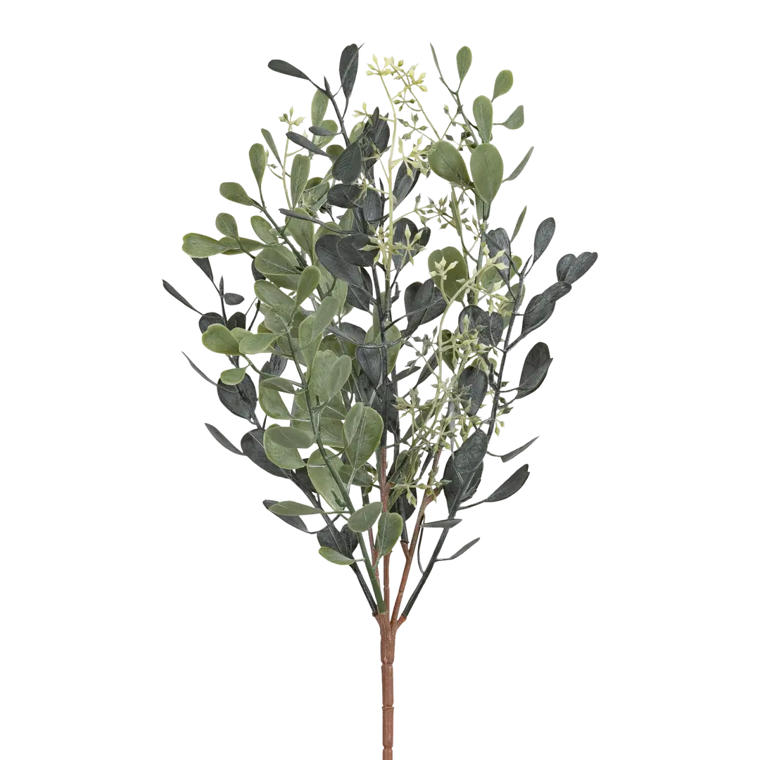 ramo decorativo Sedum