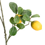 branche décorative GIARDINO