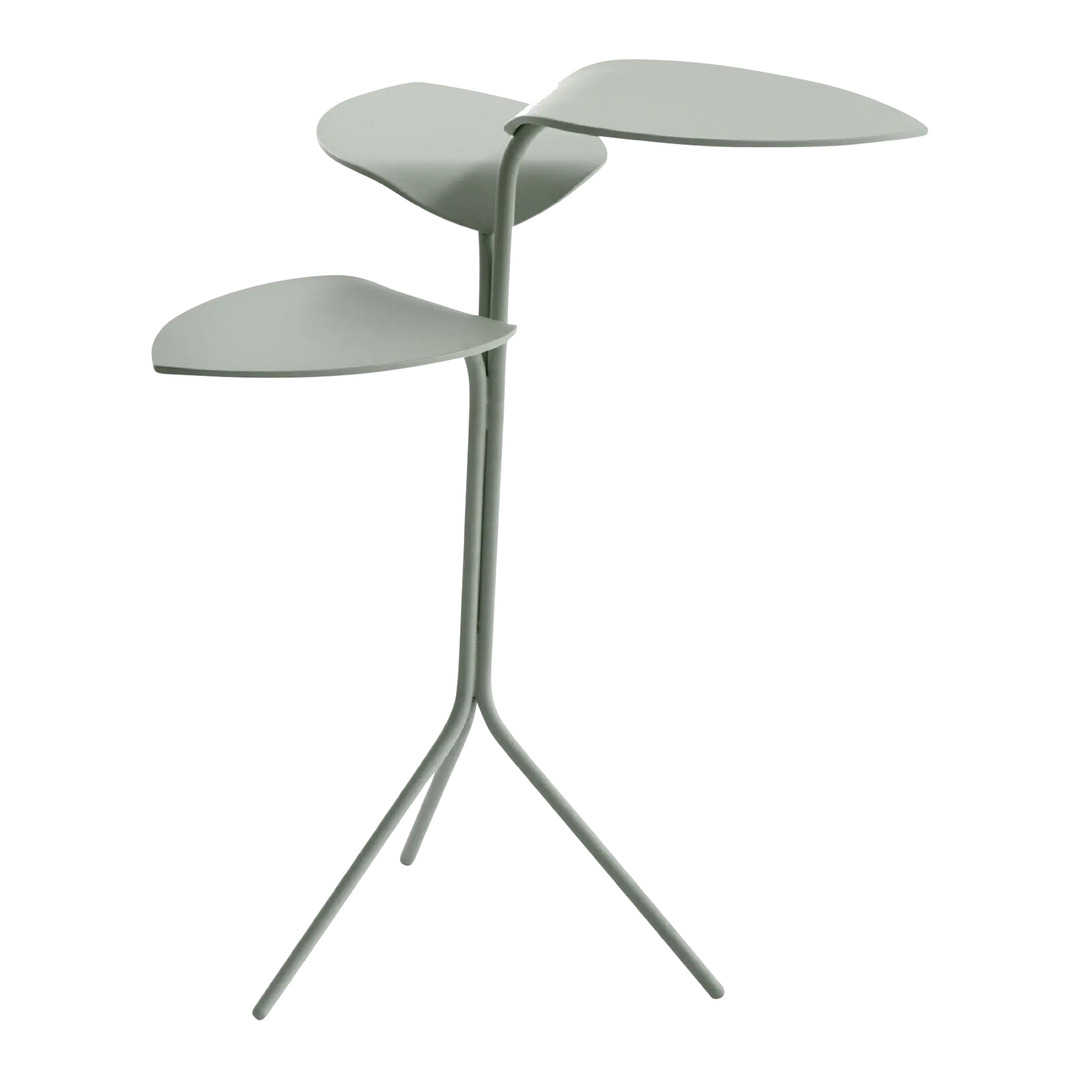 table basse Morning Glory