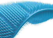 set de brosses CleanTech
