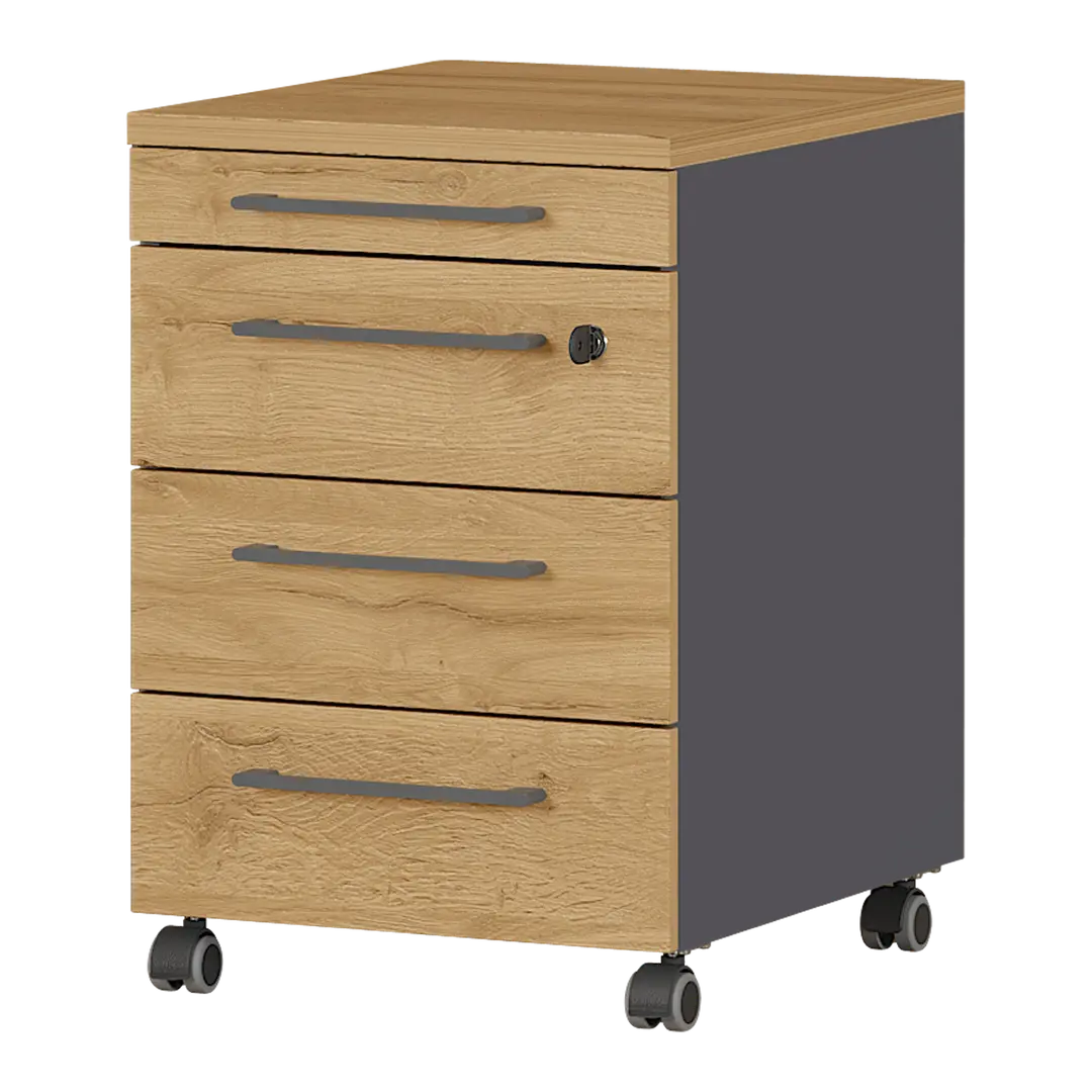 Rollcontainer Agenda