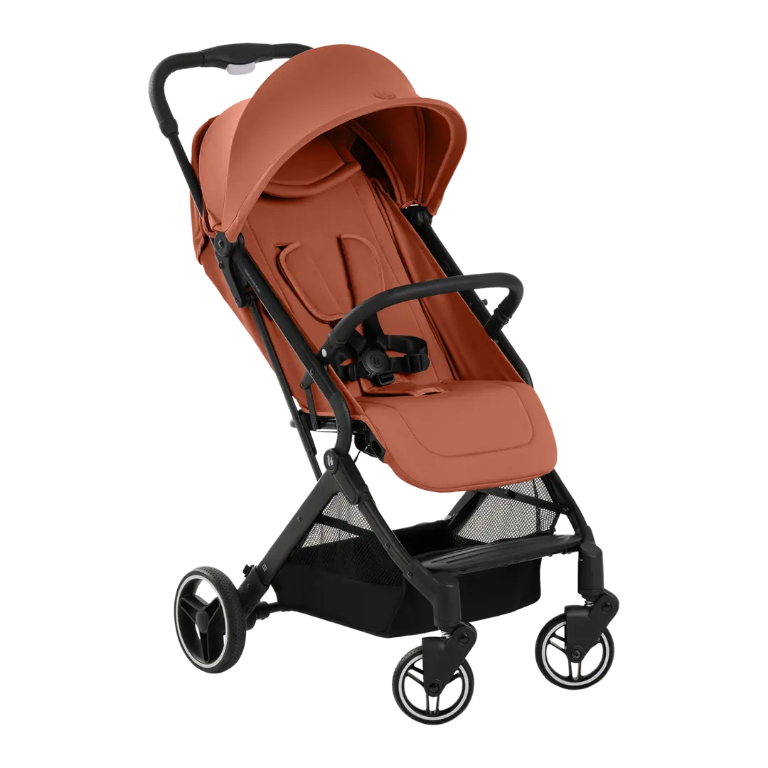 poussette Travel N Care Plus