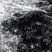 tapis à fibres faibles Bloom