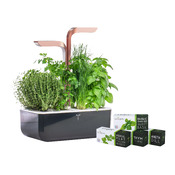 vaso per erbe Smart