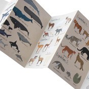 puzzle JUEGO