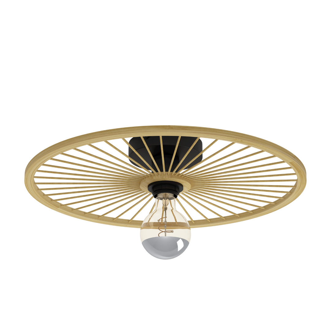lampada da parete e soffitto Leominster