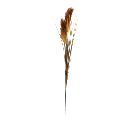 ramo decorativo Dried-Grass