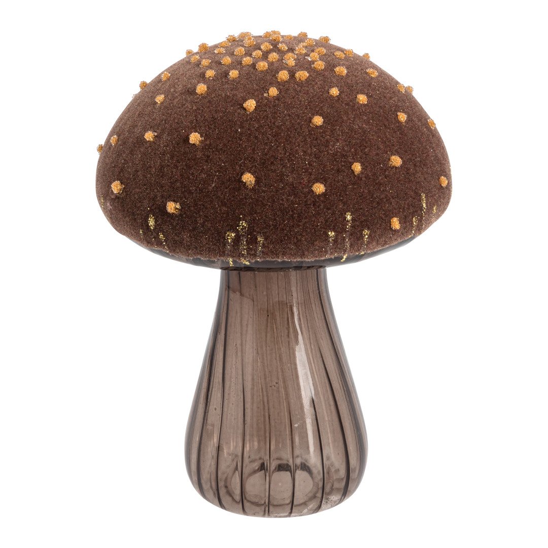 champignon Mystic Forest