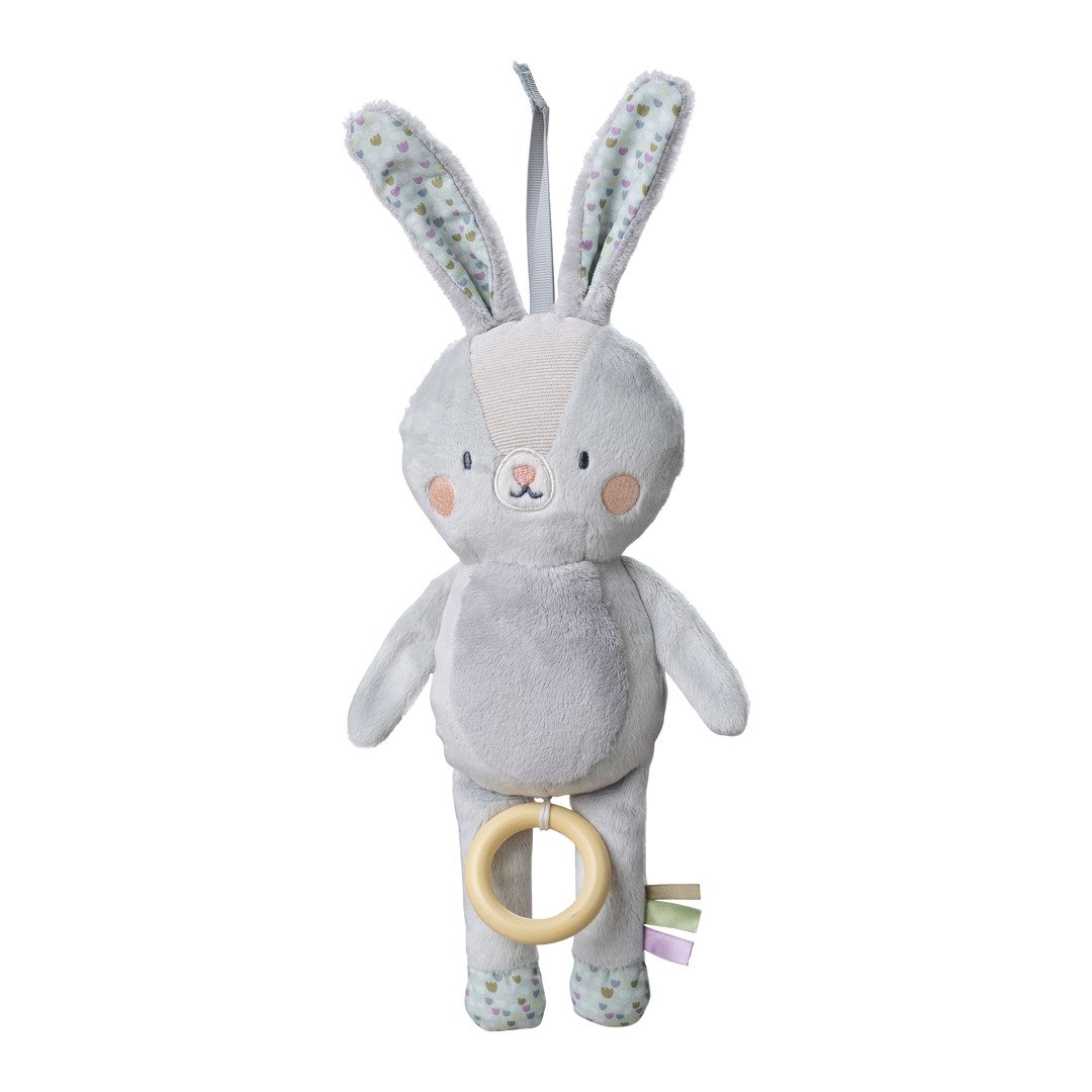 boîte à musique Taf Toys