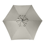 parasol Expert