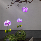 lampe solaire HORTENSIA