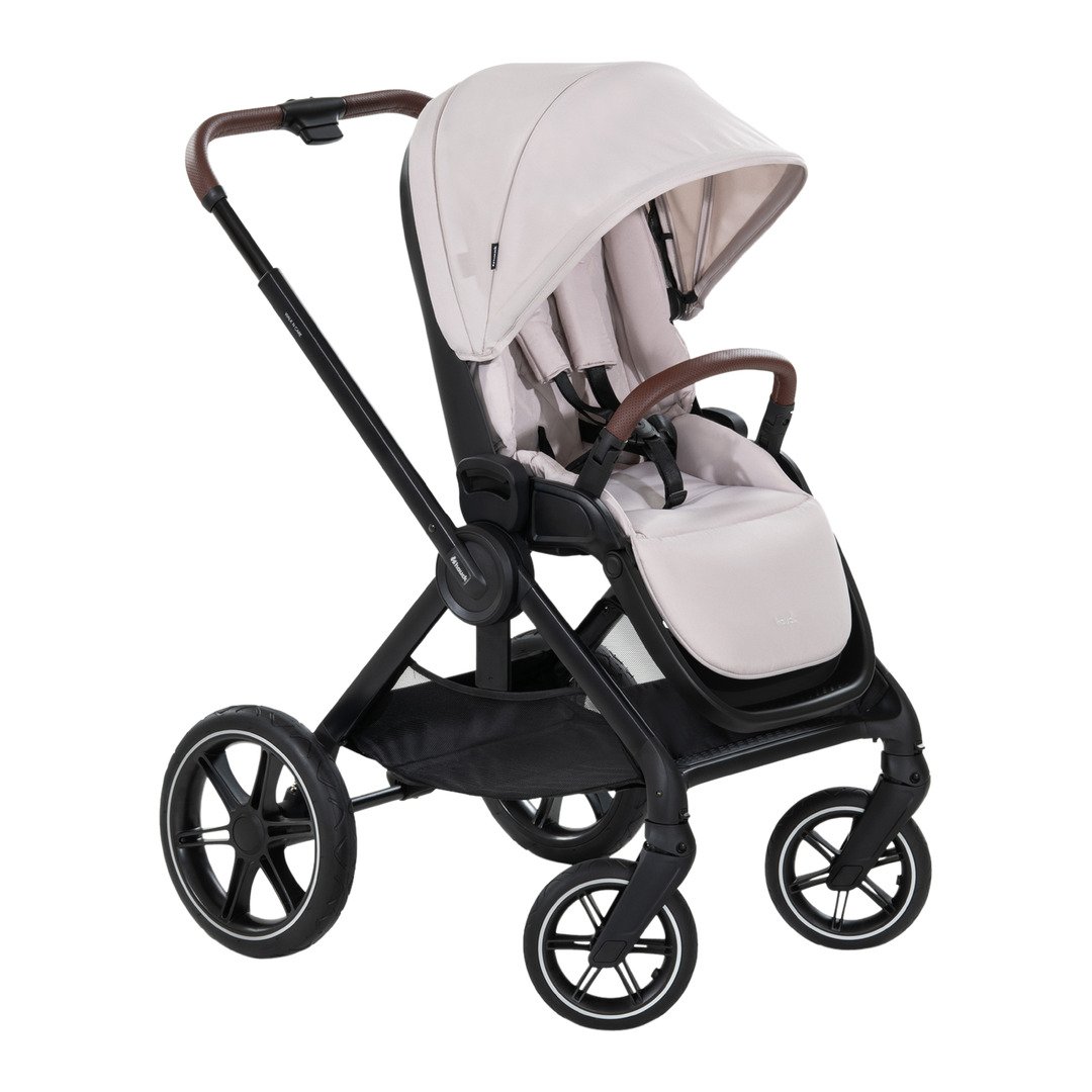 carrozzina Walk N Care