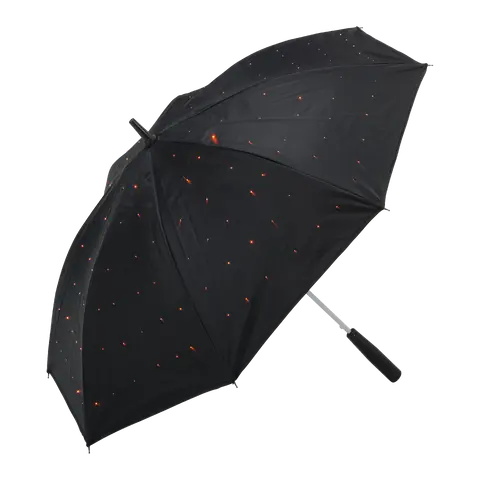 Regenschirm Umbrella