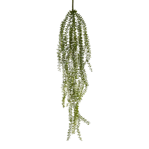 branche décorative Giardino