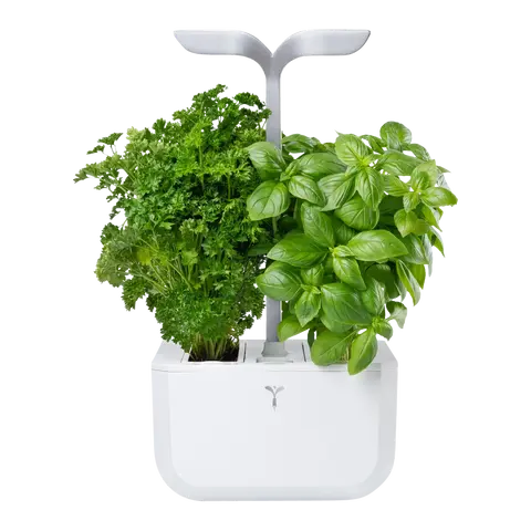 vaso per erbe Exky Smart