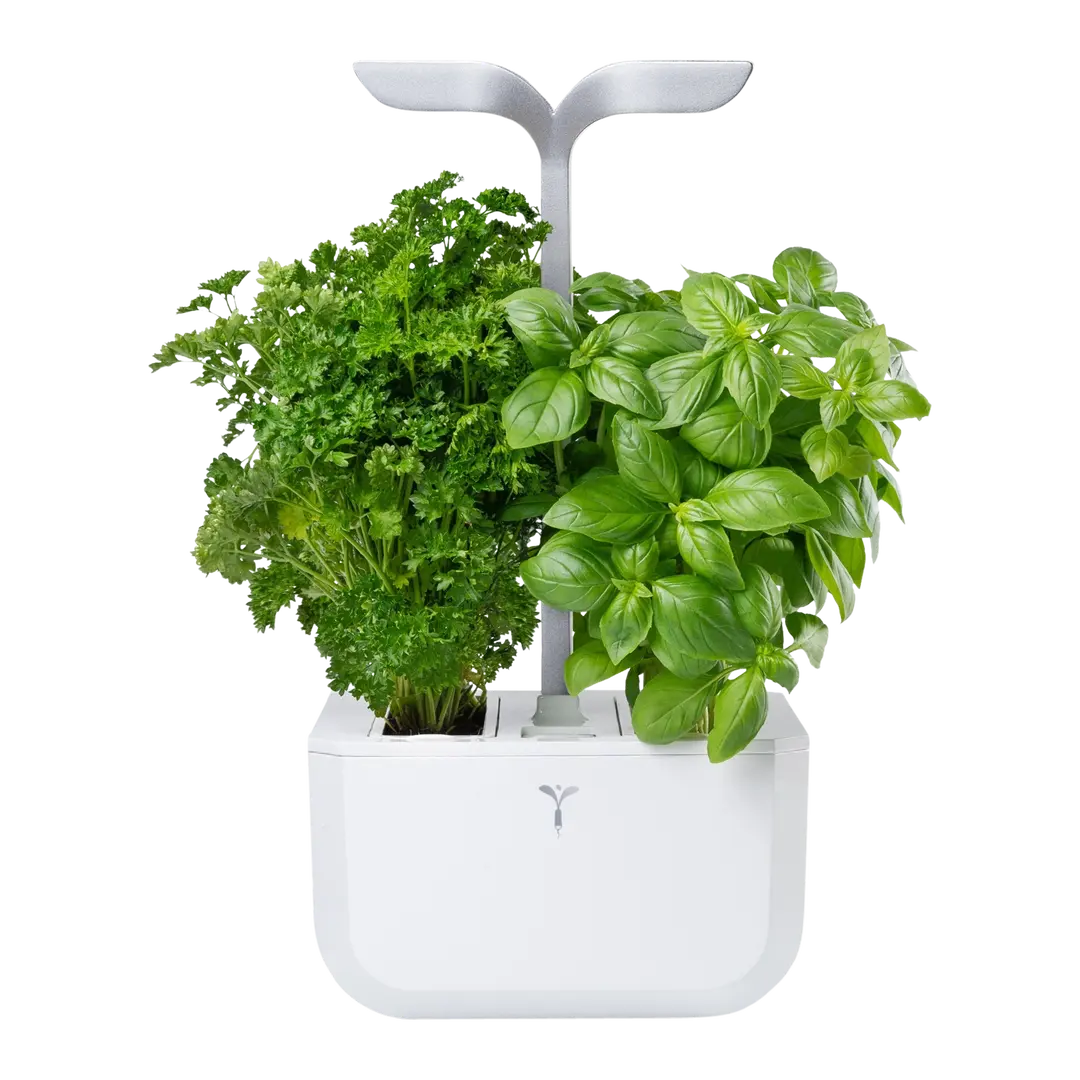 vaso per erbe Exky Smart