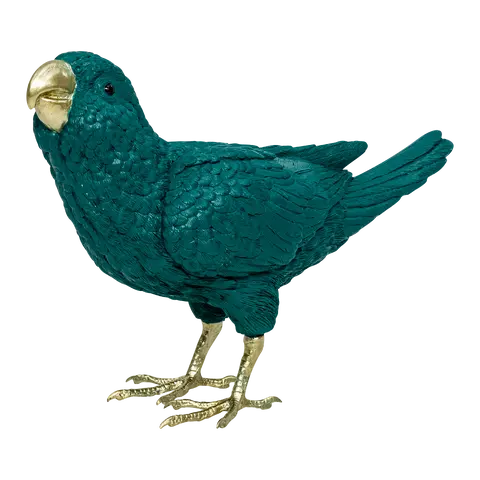 Vogel Kiara