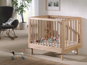 playpen Forrest