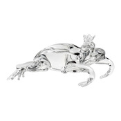 animaux frog
