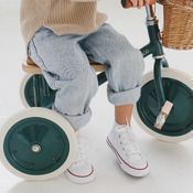 tricycle TRIKE