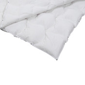 duvet Caro Quattro
