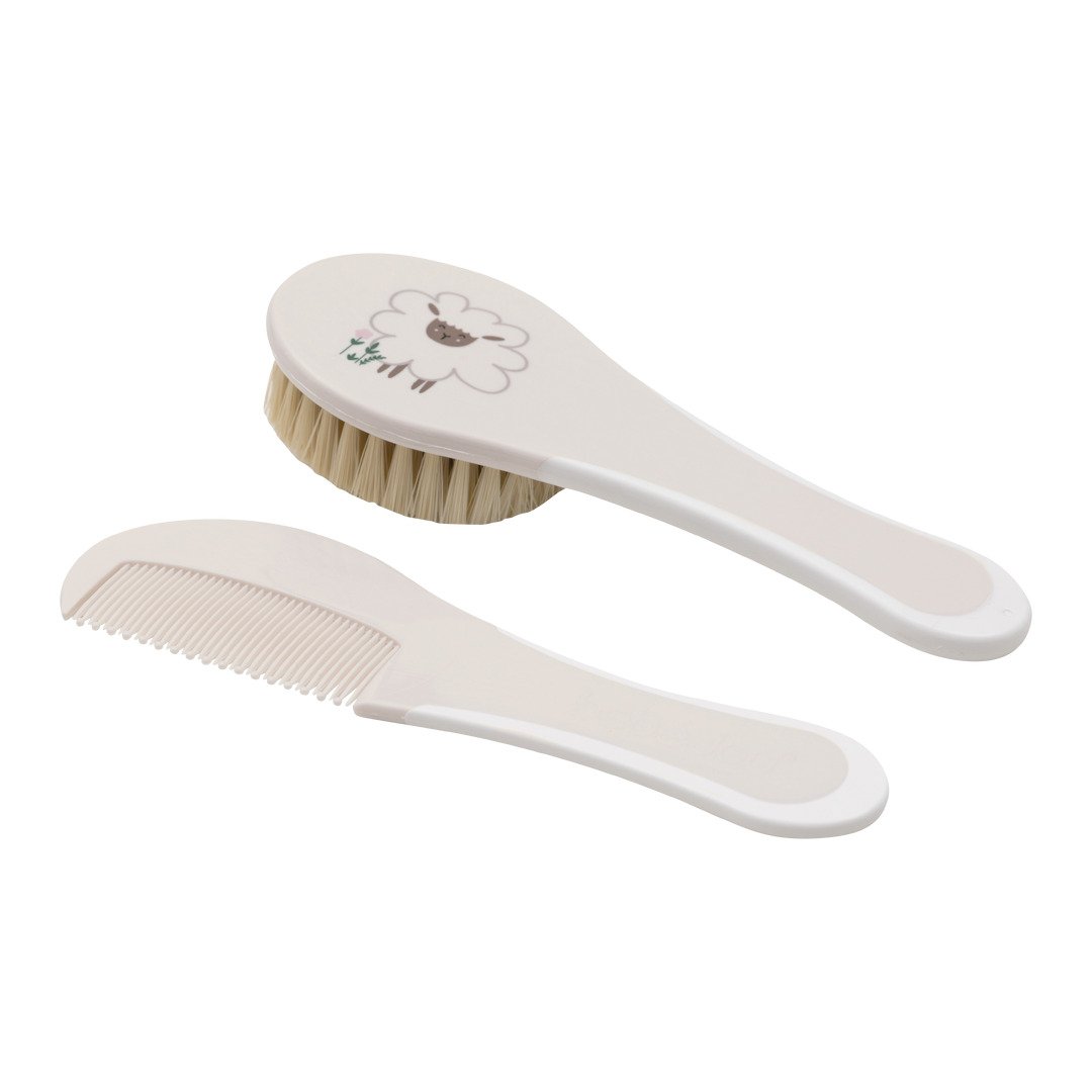 set de brosses Zewi Acc