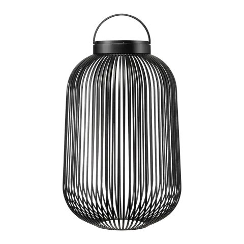 LED-photophore LITO
