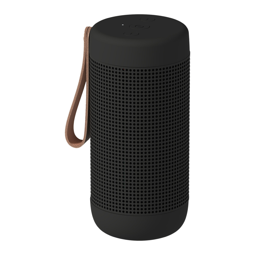 altoparlante aCoustic