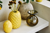 vaso Paradiese