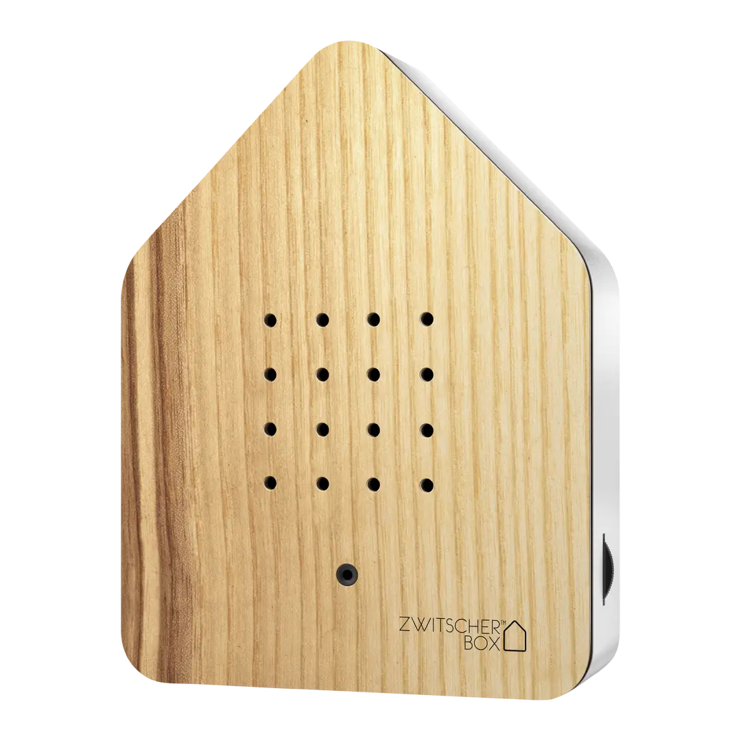 Soundbox Zwitscherbox
