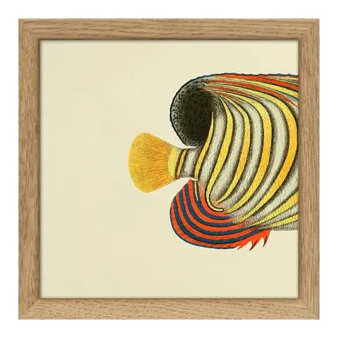 Quadro con cornice BOTANICAL