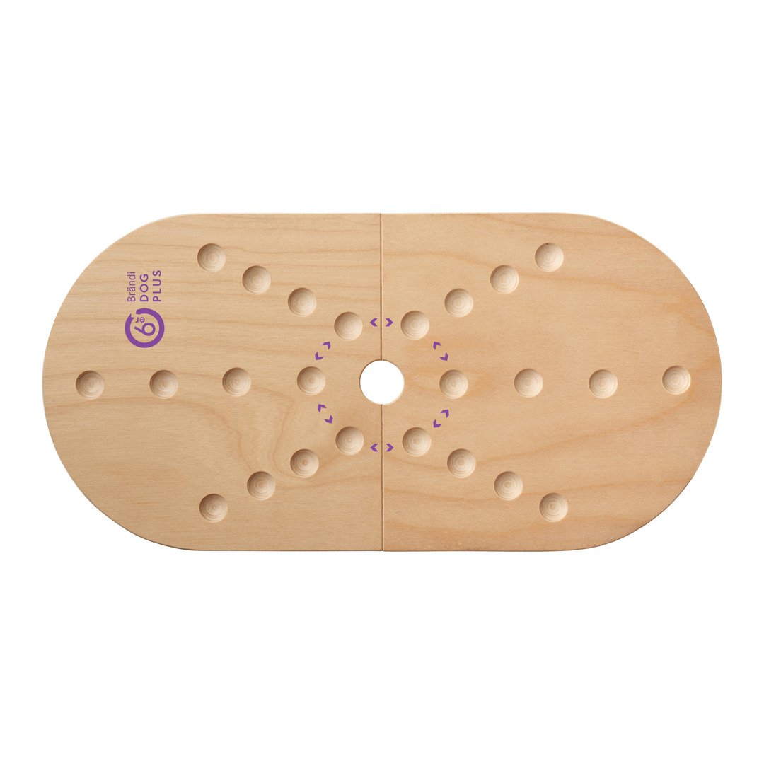 Spiel Dog 6