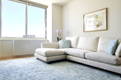 tapis d’Orient modernes Asian