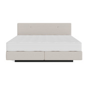 Boxspringbett Aurora