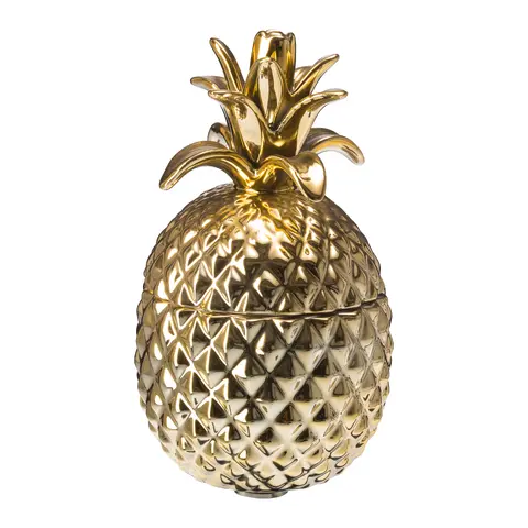 barattolo di terracotta PINEAPPLE