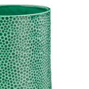 vaso Roches